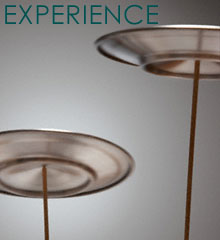Our Experience