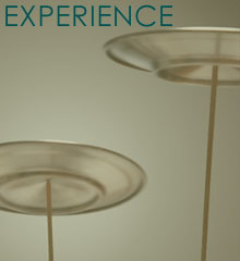 Experience