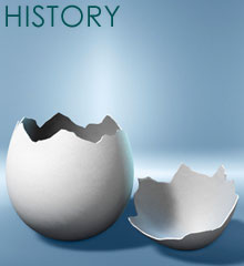 The HireLogics History