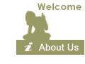 About HireLogics - YOU ARE HERE!